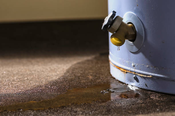 Best Flood restoration services  in New Cordell, OK