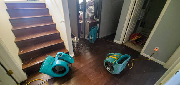Best Commercial water damage restoration  in New Cordell, OK