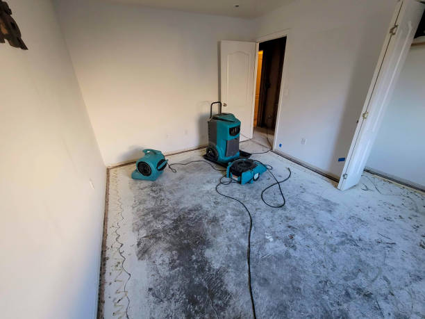 Best Mold removal after water damage  in New Cordell, OK