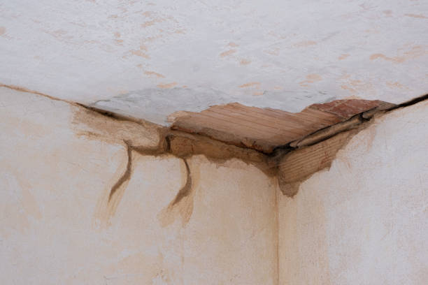 Best Sewage cleanup and water damage restoration  in New Cordell, OK