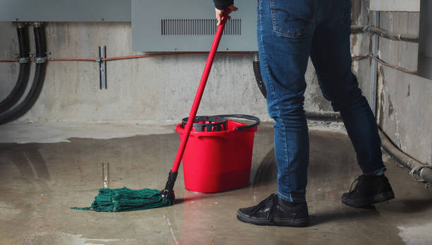 Best Professional water damage repair  in New Cordell, OK