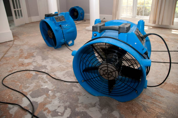 Best Flood restoration services  in New Cordell, OK
