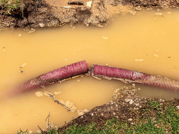 Best Water damage cleanup near me  in New Cordell, OK